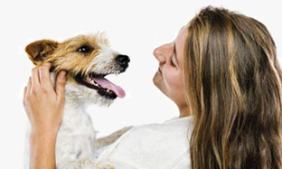 Як доглядати за зубами собаки, щоб уникнути утворення зубного каменю?